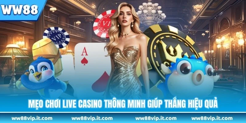 Mẹo chơi live casino thông minh giúp thắng hiệu quả